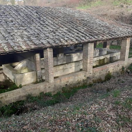 Вілла Casa Di Zio Монтічано Номер фото